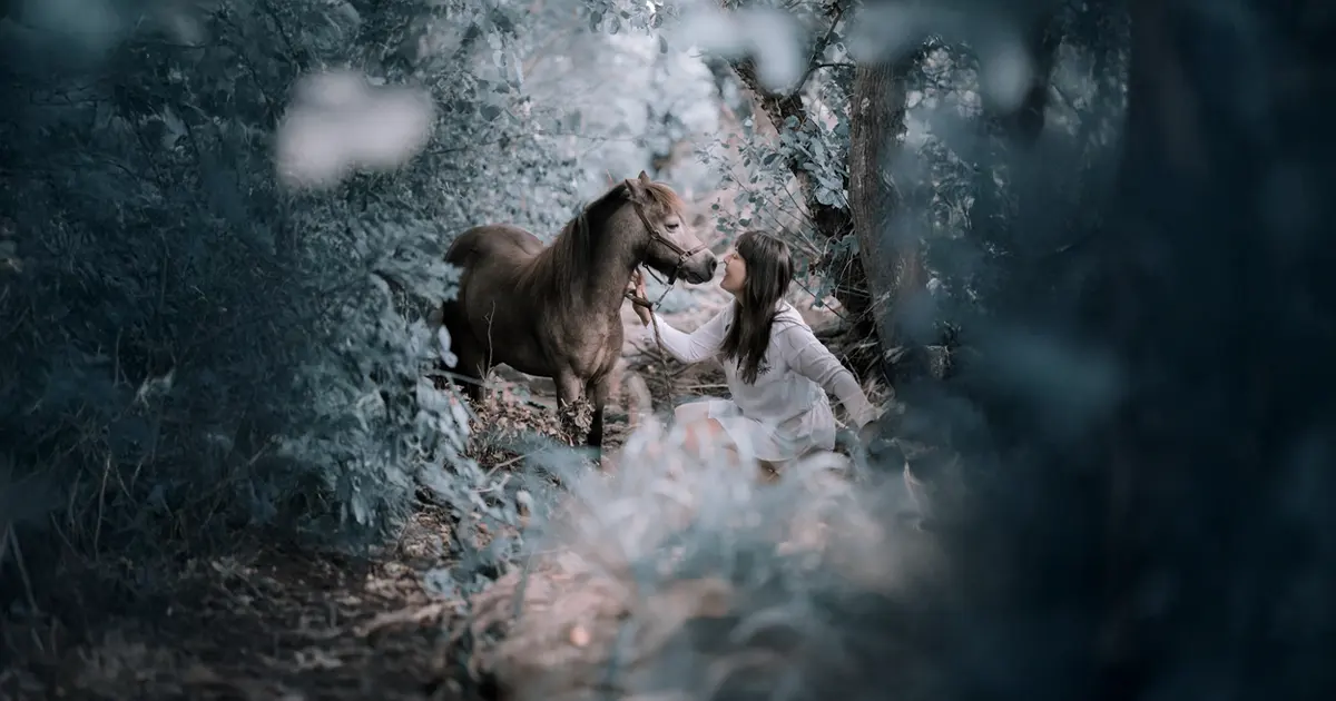 Séance - Écoute du message animal